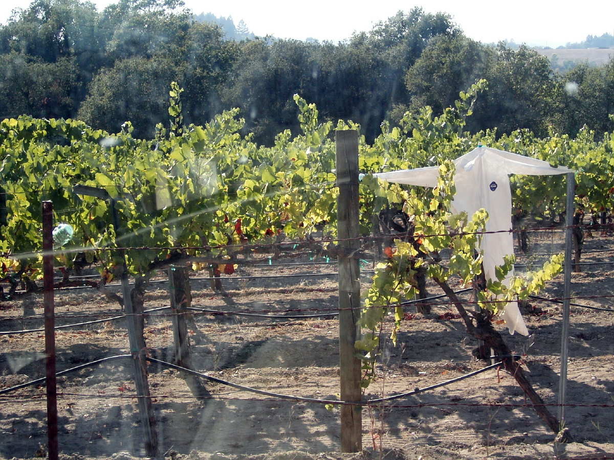 f0007498_6435029.jpg