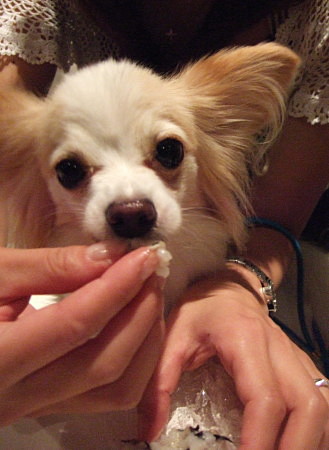 c0044199_2322332.jpg