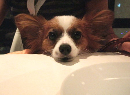 c0044199_23351460.jpg