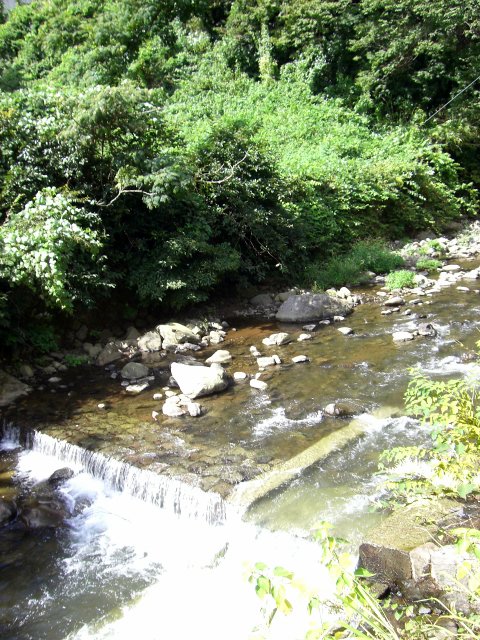 e0019200_2242315.jpg