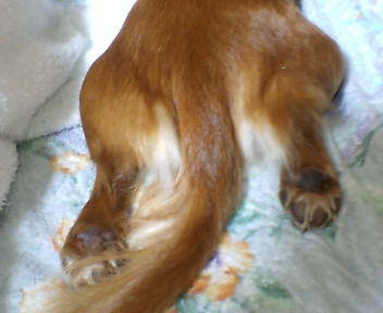 c0087001_2181867.jpg