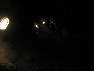 d0038301_142286.jpg