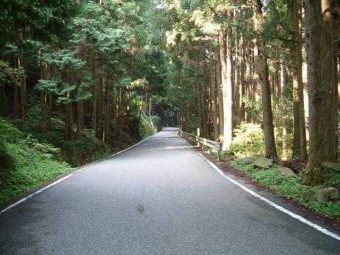d0078203_14374261.jpg