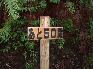 d0078203_14553951.jpg