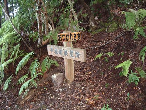 d0078203_14564915.jpg