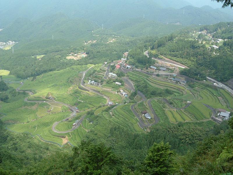 d0078203_14581546.jpg
