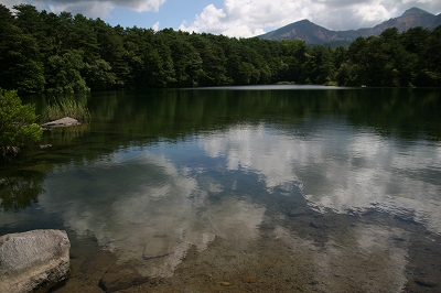 a0036412_0361597.jpg