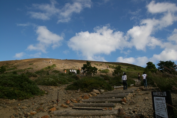 a0036412_1162551.jpg