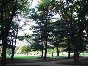 d0042618_2347997.jpg