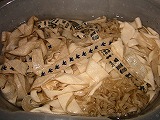 c0094621_12483779.jpg
