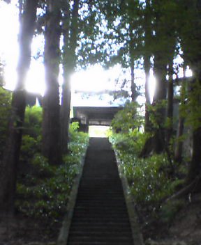 c0042426_21215726.jpg