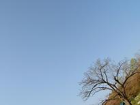 b0072234_153034.jpg