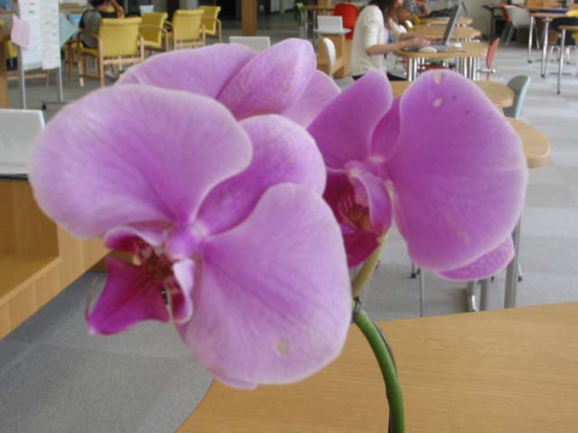 d0073034_13242538.jpg