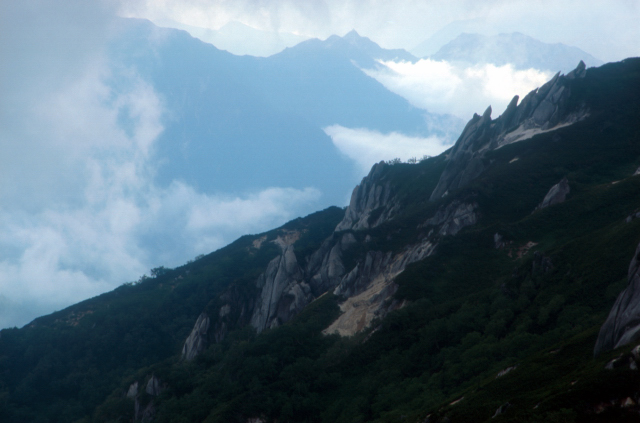 d0091834_1553367.jpg