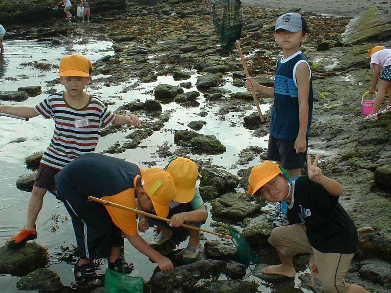 e0069234_1758929.jpg