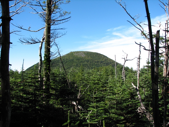 b0097836_22551076.jpg