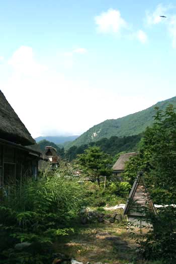 a0076043_2013336.jpg