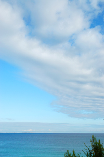 d0008146_4303579.jpg
