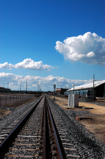 d0008146_449823.jpg