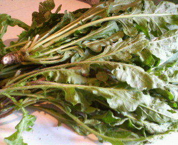f0088647_2113943.jpg