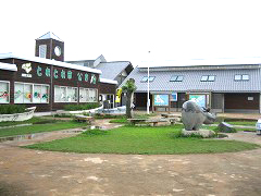 d0031853_1183241.jpg