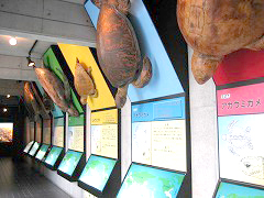 d0031853_19730.jpg