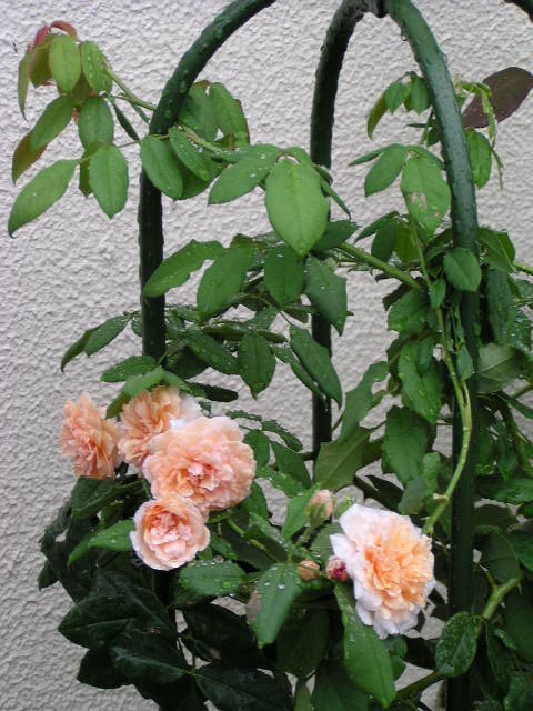f0074659_23282237.jpg