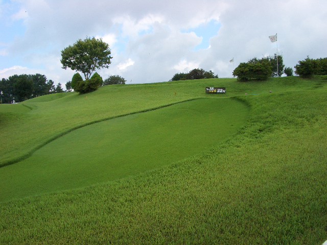 b0095760_0543835.jpg