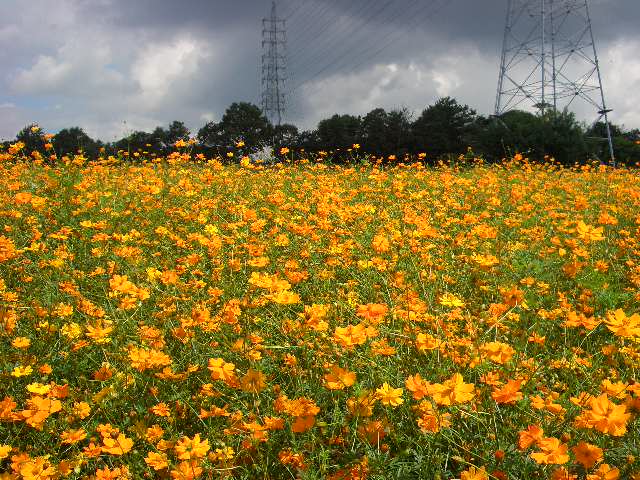 b0095760_0575192.jpg
