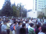 a0008364_22332220.jpg