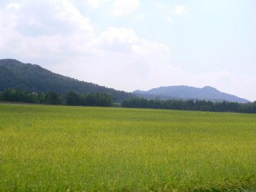 a0063364_22142410.jpg