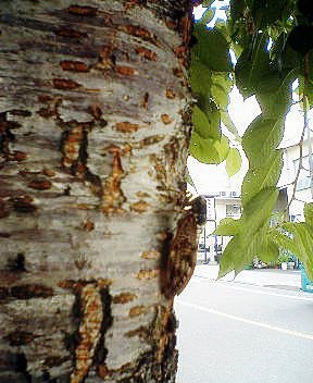 b0009665_0543393.jpg