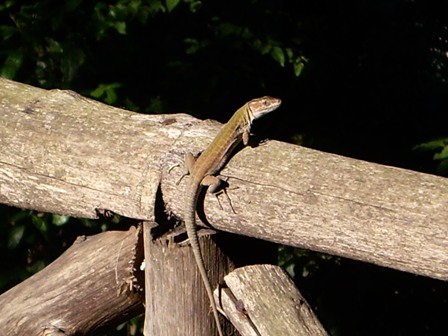 f0023268_5303647.jpg