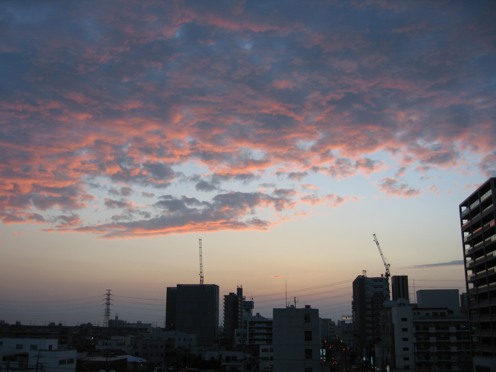 b0107769_20235049.jpg