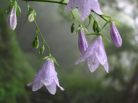 c0042869_2249177.jpg