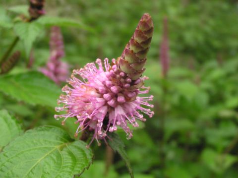 c0042869_2250140.jpg