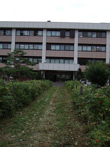 b0048571_2324185.jpg