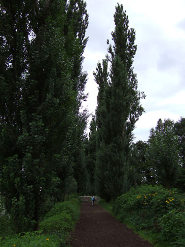 b0048571_2324298.jpg
