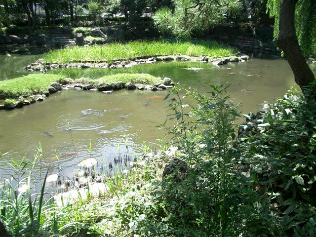 d0088184_16593724.jpg