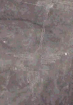 d0062287_104585.jpg