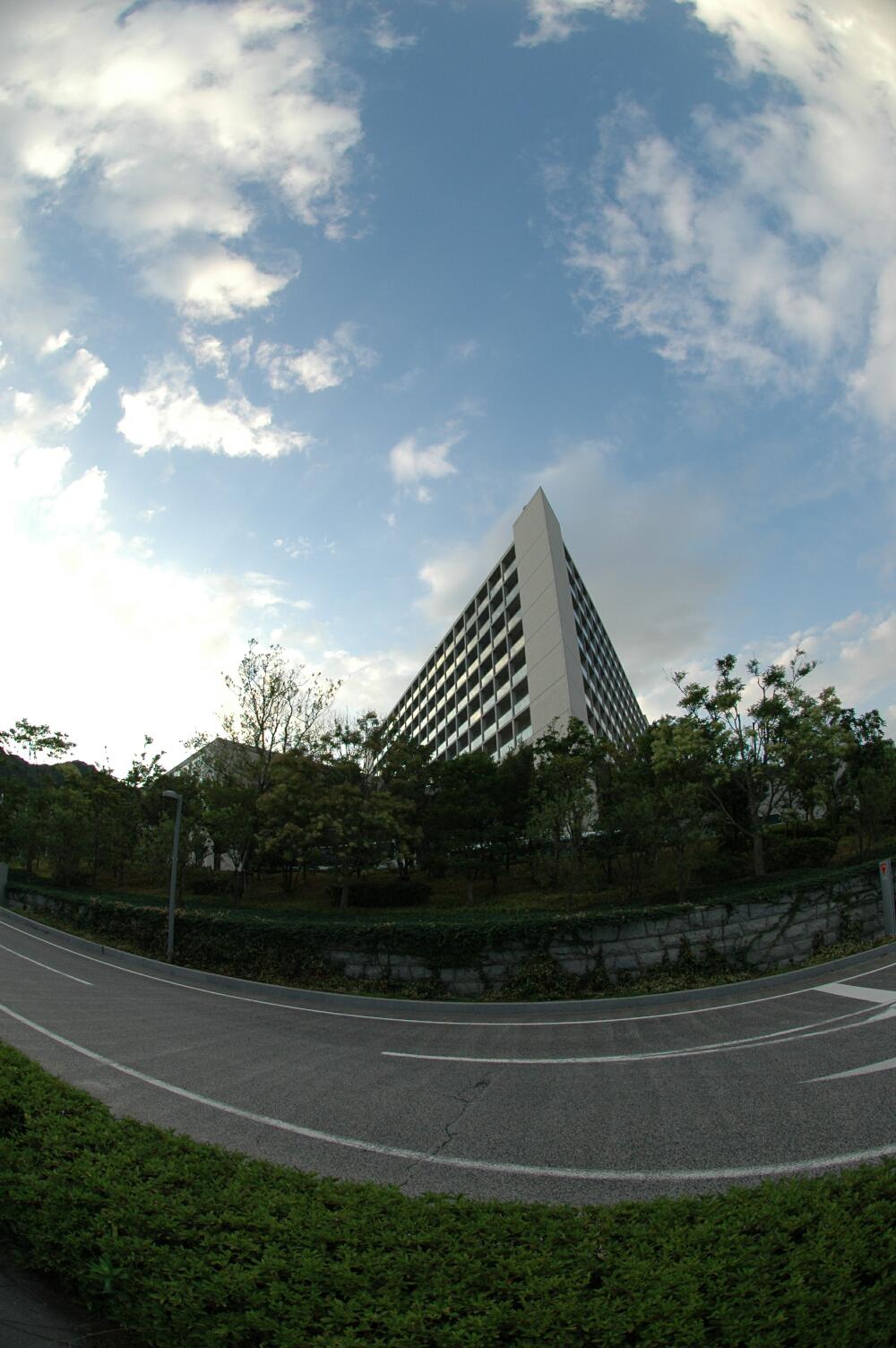 b0023893_18323150.jpg