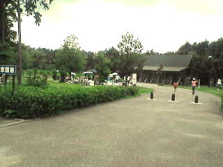 b0062214_23244312.jpg
