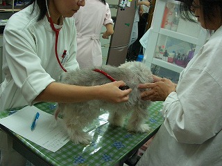 c0066514_233932.jpg