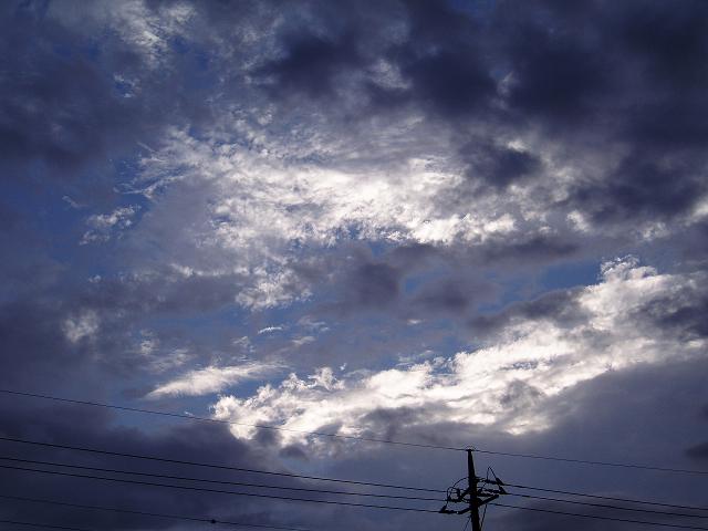 c0086014_633166.jpg