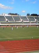 c0039323_238065.jpg