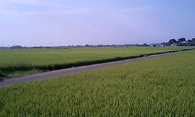 e0059826_2328183.jpg