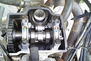 f0000131_1156194.jpg