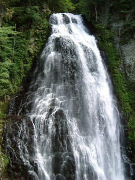 c0090236_2233880.jpg