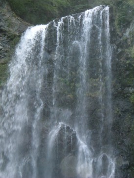 c0090236_2234867.jpg