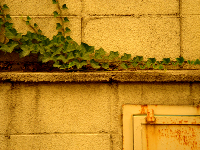 a0024250_4373265.jpg
